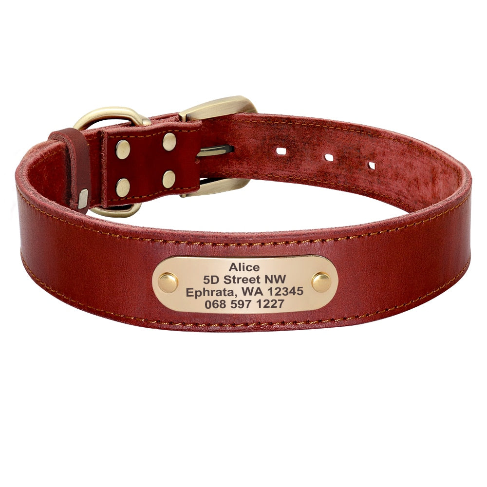 Personalized Leather Dog Collar and Leash Set with Engraved Nameplate for Small, Medium, and Large Dogs
