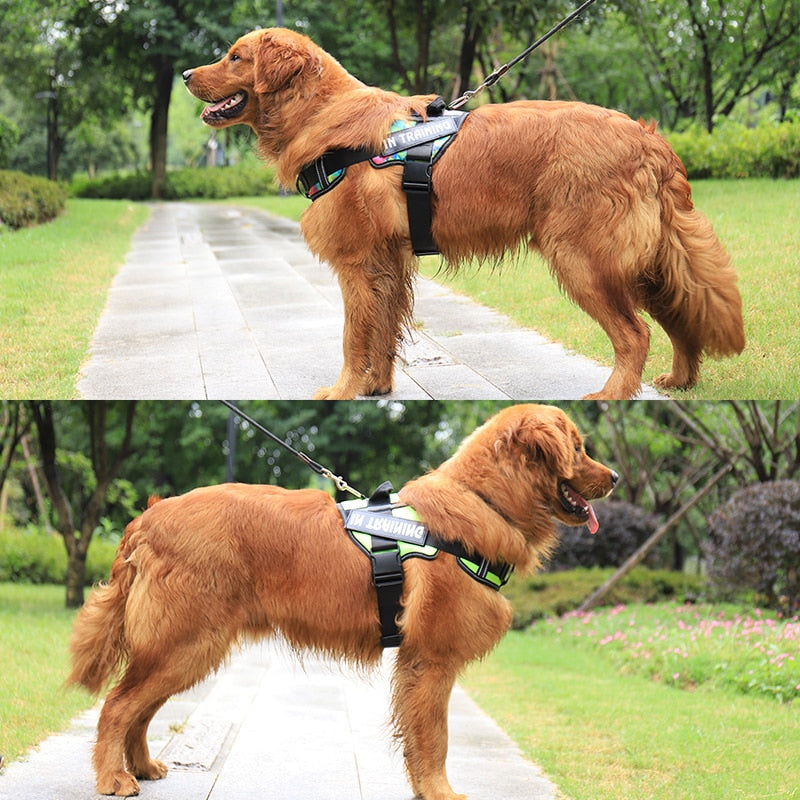 Personalized Reflective Dog Harness - Adjustable, Breathable and No-Pull Nylon Vest with Neck Guard