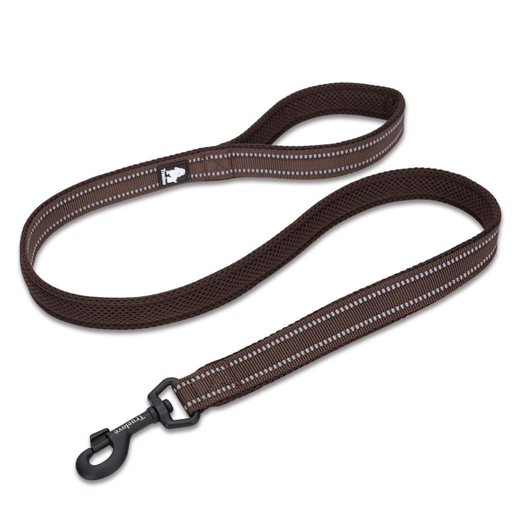 Truelove Reflective 3FT Dog Leash - Nylon Mesh Padded Leash for Outdoor Training and Safety
