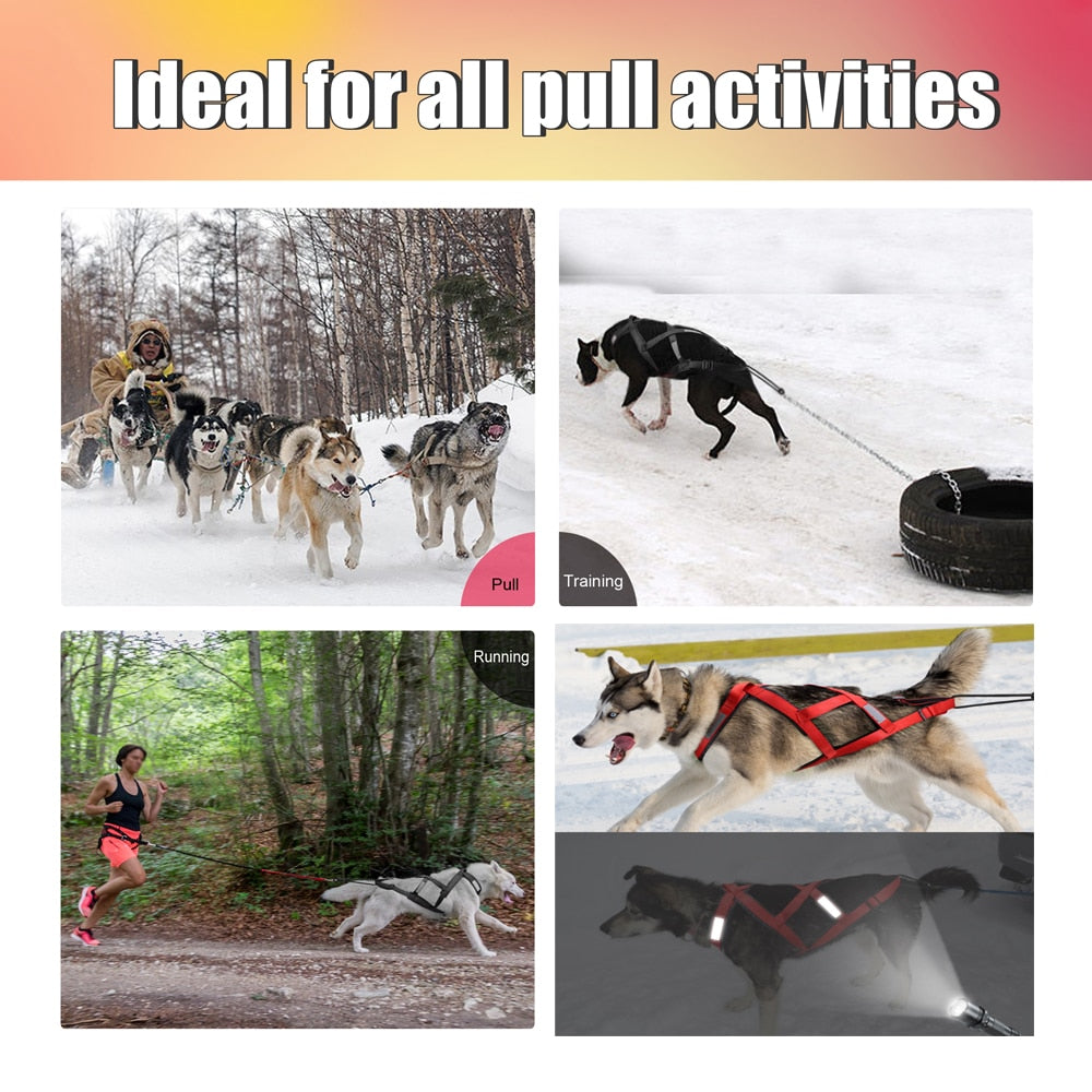 Reflective Waterproof Dog Sled Harness for Medium and Large Dogs - Ideal for Skijoring and Scootering