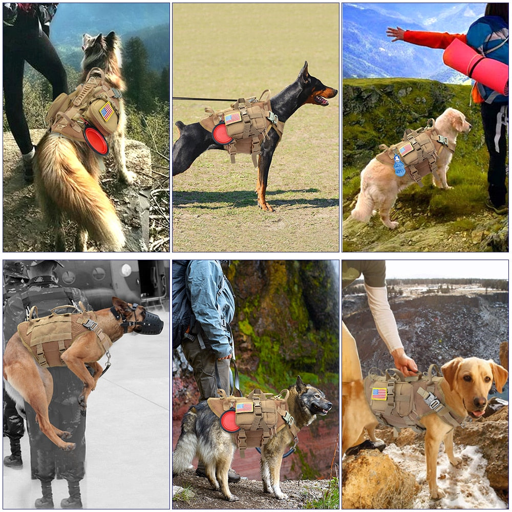 Military Tactical Dog Harness - No Pull, Training, Hiking, Molle Vest with Pouches for Medium and Large Dogs