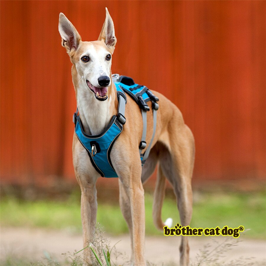 Adjustable Reflective Dog Harness for Medium and Large Breeds - Durable Outdoor Pet Supplies and Accessories