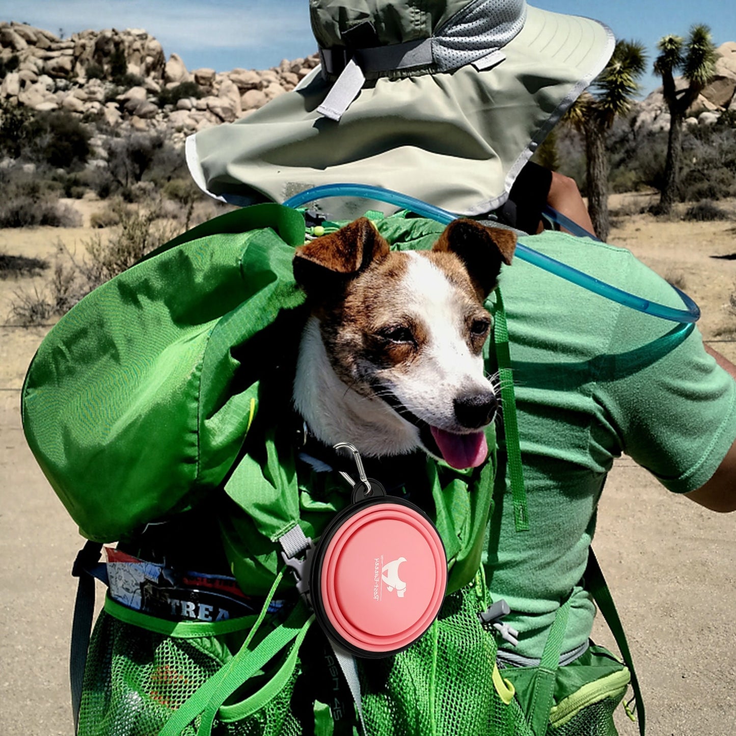 Collapsible Dog Bowls for Travel - Portable and Lightweight Water and Food Dish for Dogs - Available in S and L Sizes - Perfect for Camping and Outdoor Activities