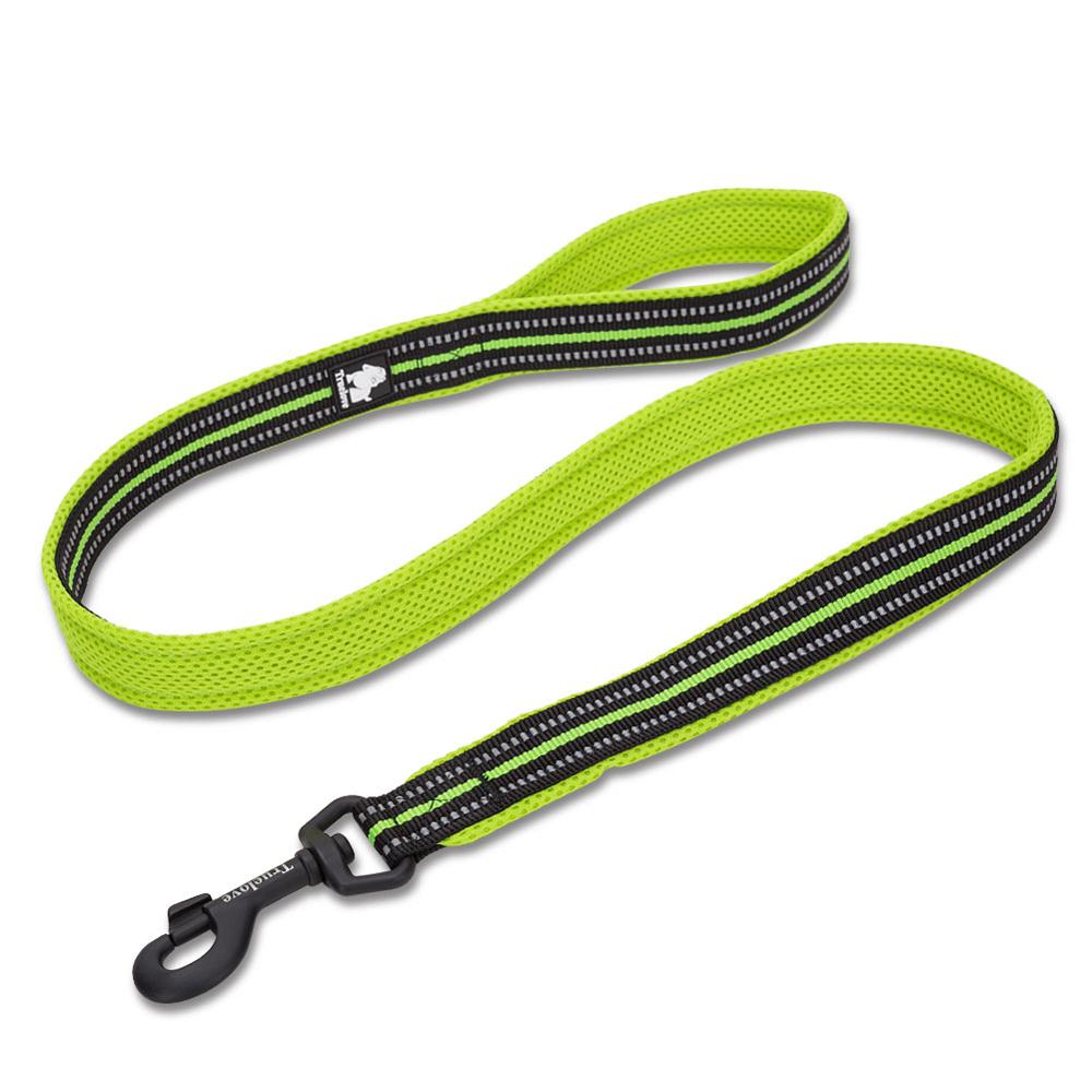 Truelove Reflective 3FT Dog Leash - Nylon Mesh Padded Leash for Outdoor Training and Safety