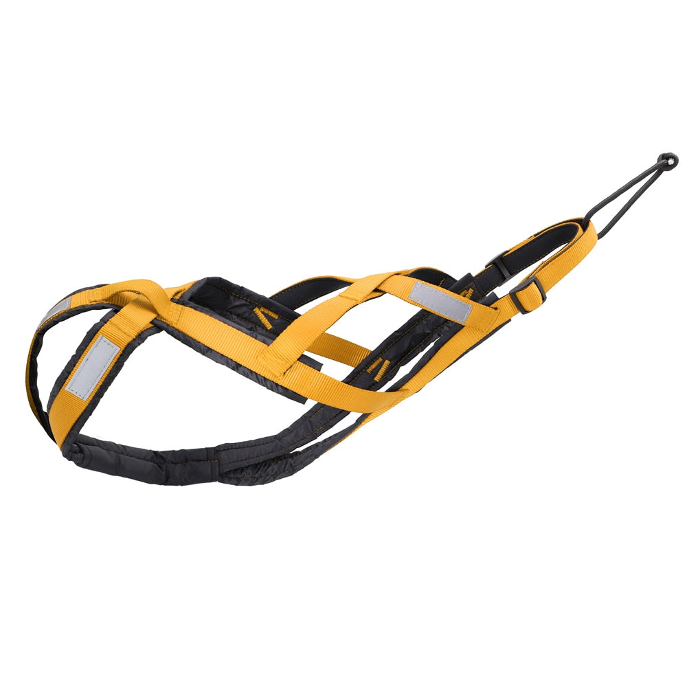 Reflective Waterproof Dog Sled Harness for Medium and Large Dogs - Ideal for Skijoring and Scootering
