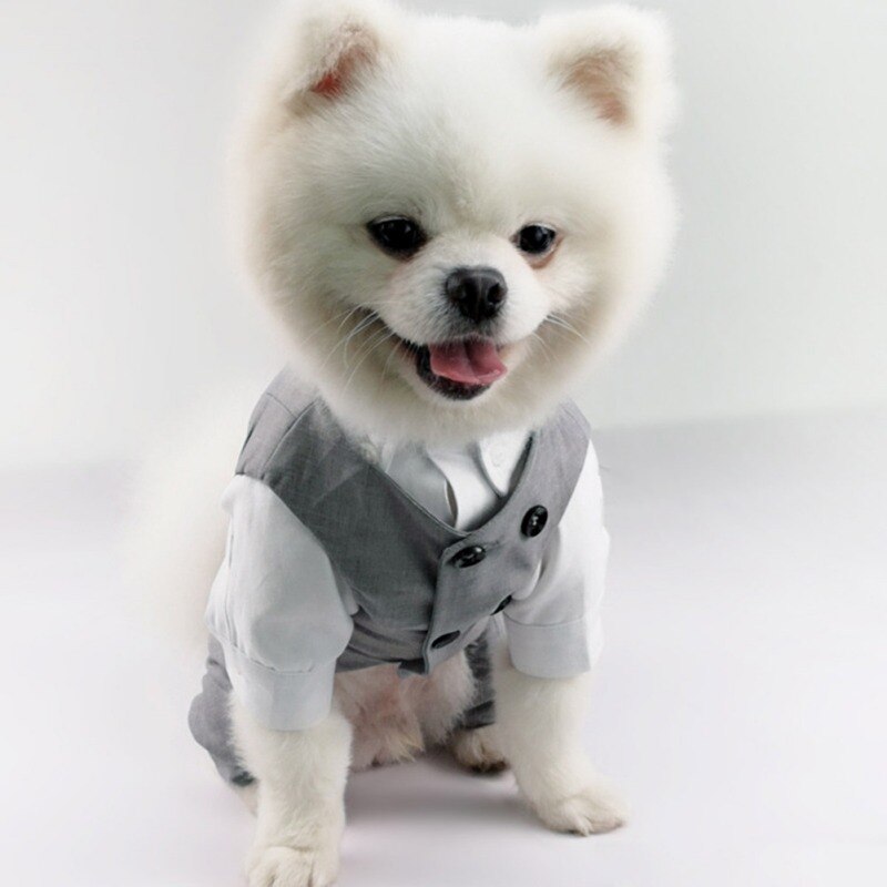 Dog Tuxedo Suit - Formal Vest with Bow Tie for Small and Medium Breed Dogs - Perfect for Weddings, Birthday Parties, and Formal Occasions