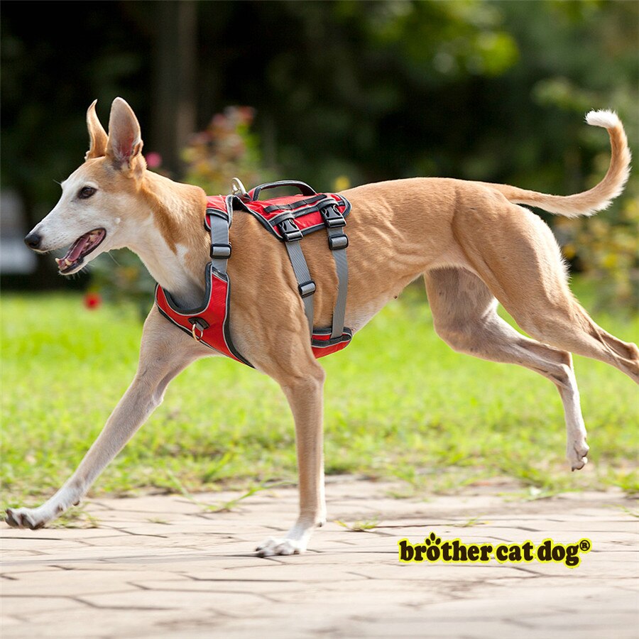 Adjustable Reflective Dog Harness for Medium and Large Breeds - Durable Outdoor Pet Supplies and Accessories