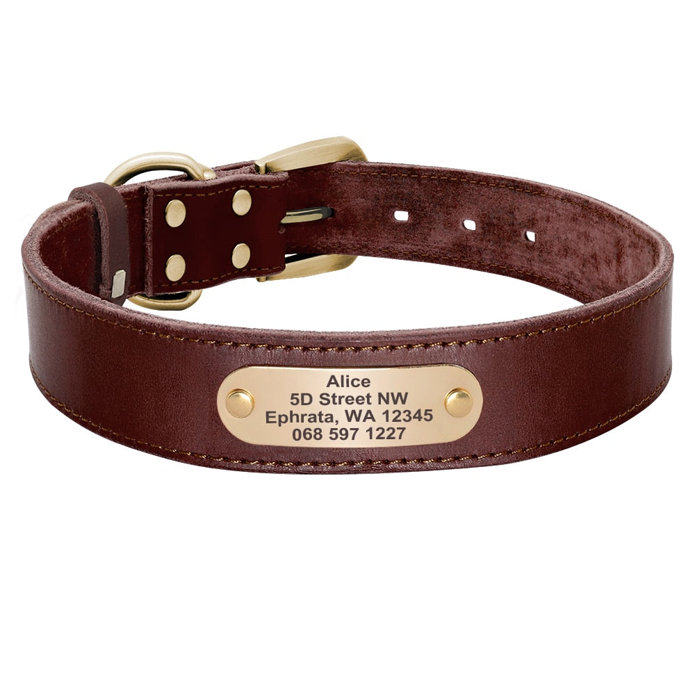 Personalized Leather Dog Collar and Leash Set with Engraved Nameplate for Small, Medium, and Large Dogs