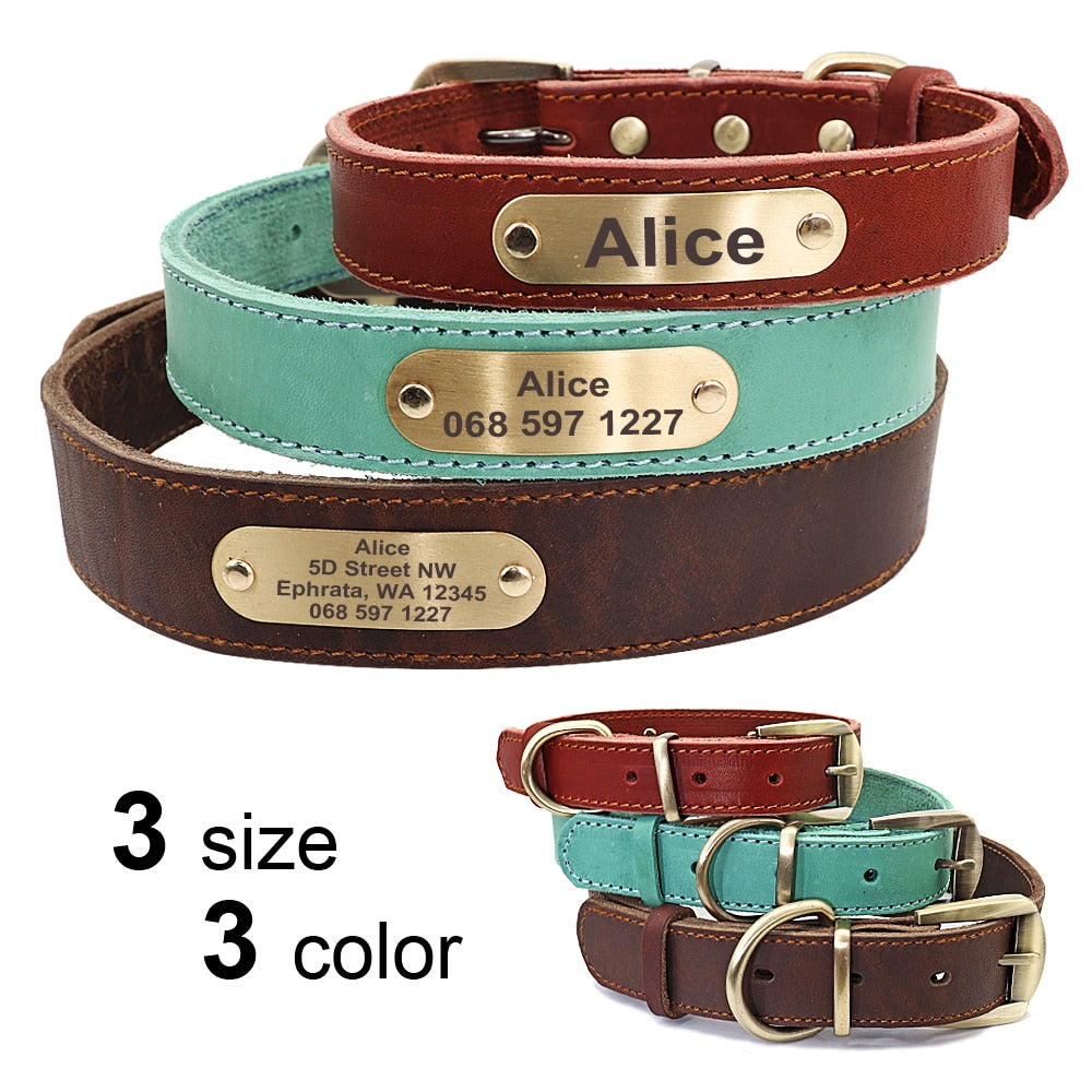 Personalized Leather Dog Collar and Leash Set with Engraved Nameplate for Small, Medium, and Large Dogs