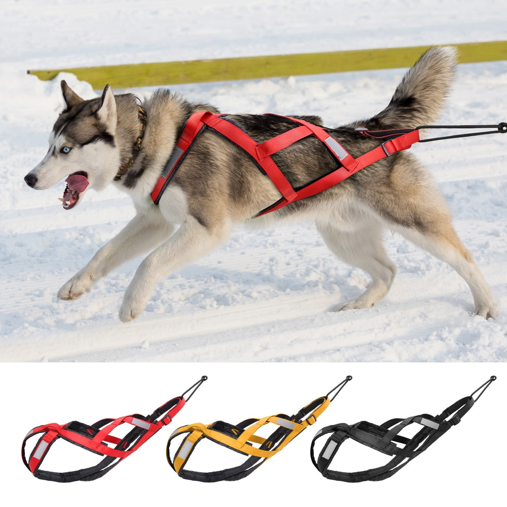 Reflective Waterproof Dog Sled Harness for Medium and Large Dogs - Ideal for Skijoring and Scootering