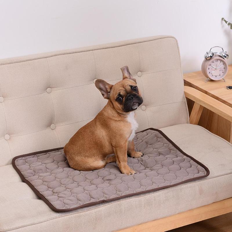 Breathable Cooling Dog Mat for Summer - Washable Pet Bed with Blanket and Sofa for Small, Medium, and Large Dogs - Ideal for Cars and Home