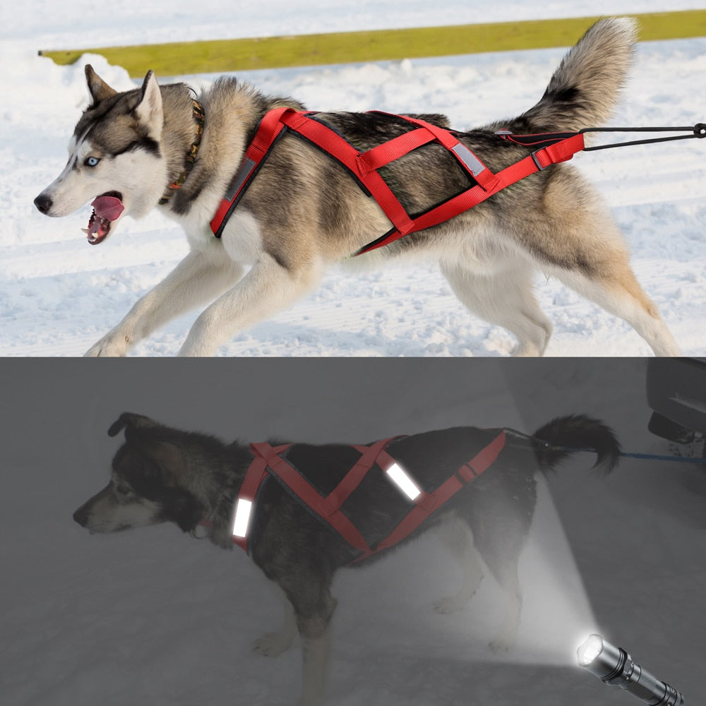 Reflective Waterproof Dog Sled Harness for Medium and Large Dogs - Ideal for Skijoring and Scootering