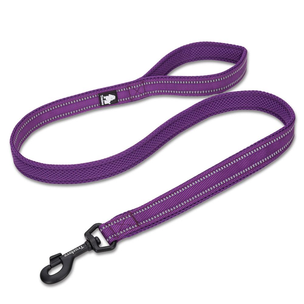 Truelove Reflective 3FT Dog Leash - Nylon Mesh Padded Leash for Outdoor Training and Safety