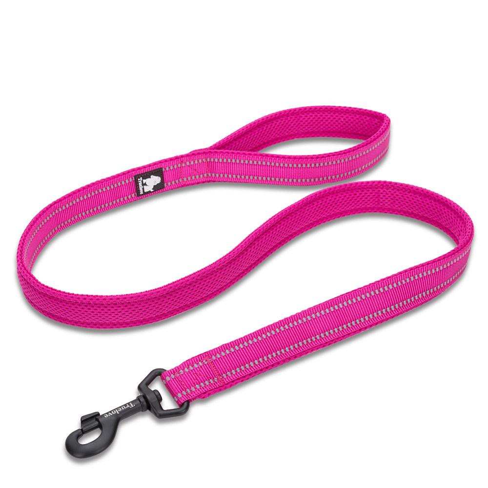 Truelove Reflective 3FT Dog Leash - Nylon Mesh Padded Leash for Outdoor Training and Safety