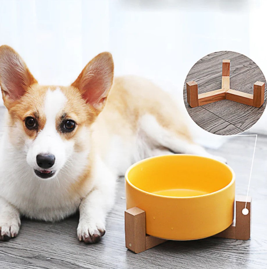 Double Ceramic Pet Bowl - Dog Feeding and Water Bowl - Ideal for Puppy, Small Dogs Feeder Product Supplies