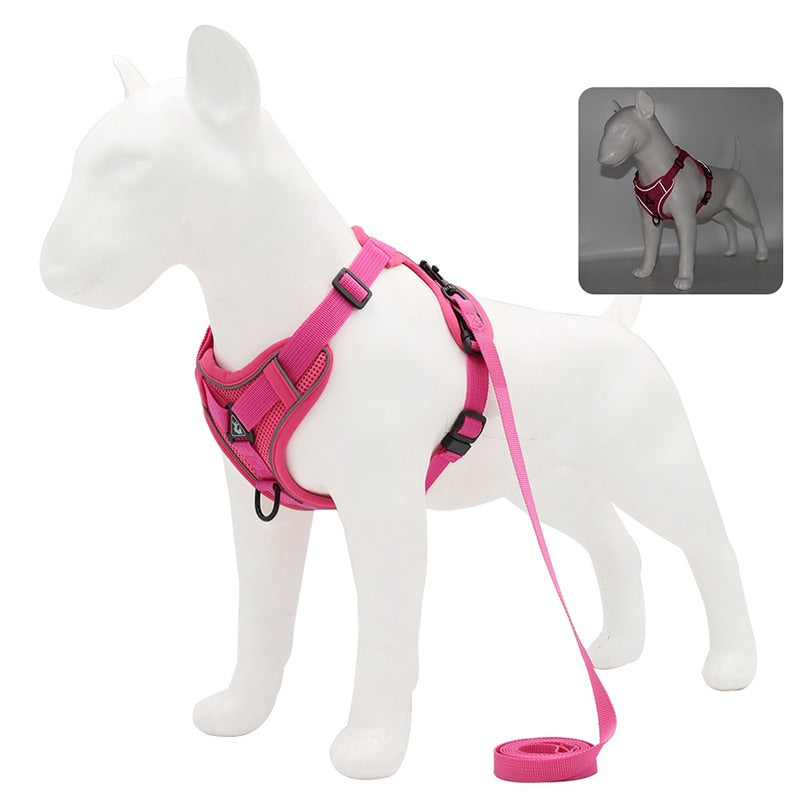 Reflective No Pull Dog Harness and Leash Set for Small to Medium Dogs - Adjustable Pet Harness Vest with Mesh Chest Strap