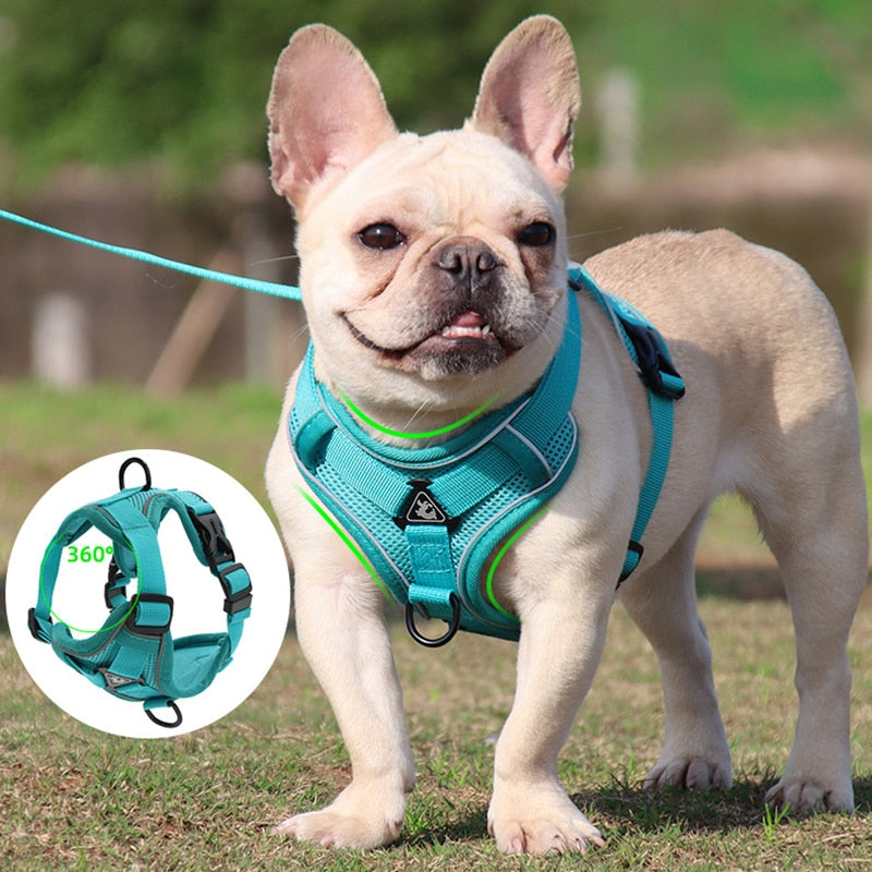 Reflective No Pull Dog Harness and Leash Set for Small to Medium Dogs - Adjustable Pet Harness Vest with Mesh Chest Strap