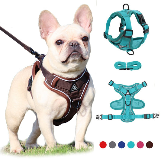 Reflective No Pull Dog Harness and Leash Set for Small to Medium Dogs - Adjustable Pet Harness Vest with Mesh Chest Strap