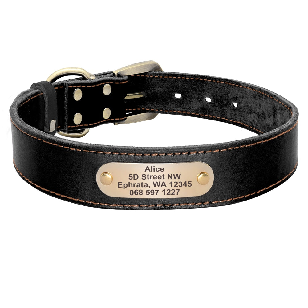 Personalized Leather Dog Collar and Leash Set with Engraved Nameplate for Small, Medium, and Large Dogs