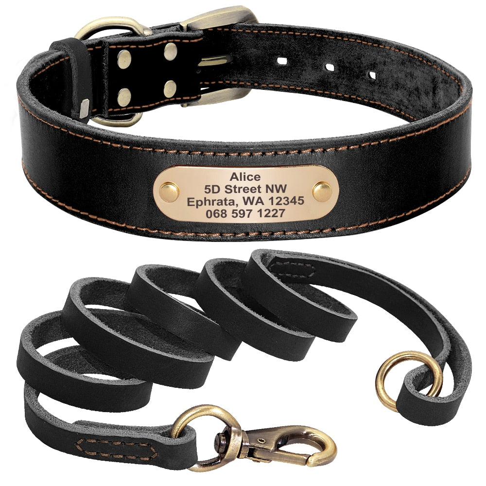 Personalized Leather Dog Collar and Leash Set with Engraved Nameplate for Small, Medium, and Large Dogs