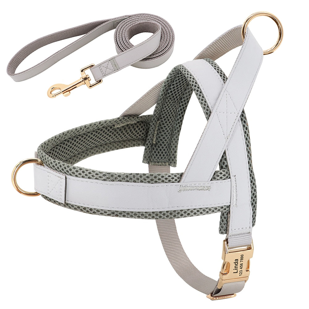 Custom Dog Collar, Harness, and Leash Set - Personalized with ID Tags for Small, Medium, and Large Dogs