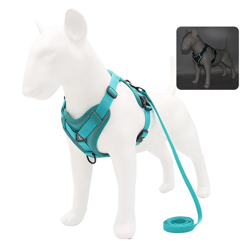 Reflective No Pull Dog Harness and Leash Set for Small to Medium Dogs - Adjustable Pet Harness Vest with Mesh Chest Strap