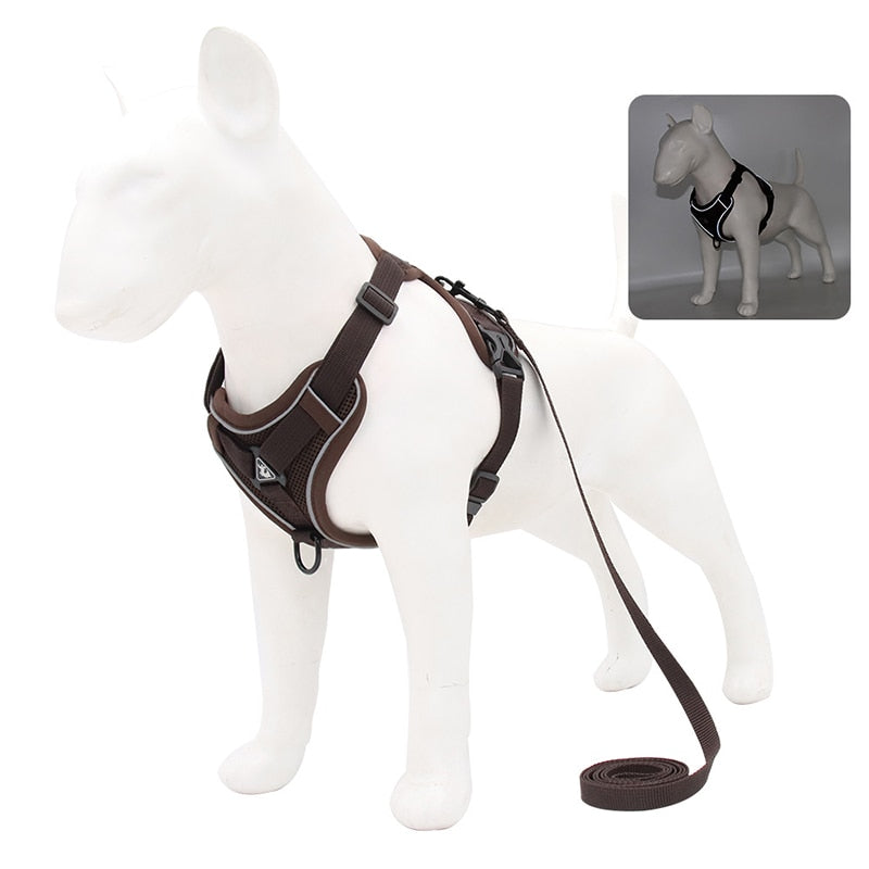 Reflective No Pull Dog Harness and Leash Set for Small to Medium Dogs - Adjustable Pet Harness Vest with Mesh Chest Strap