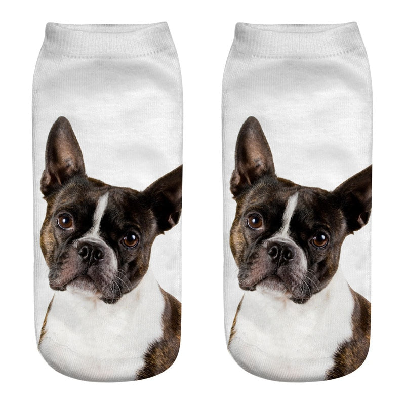 3D Printed Dog Socks - Fashionable and Comfortable Socks