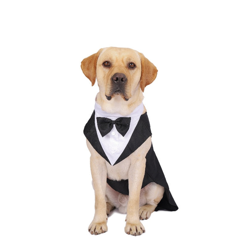 Formal Dog Tuxedo Suit with Bow Tie - Perfect for Weddings, Parties, and Halloween - Available in Small and Large Sizes
