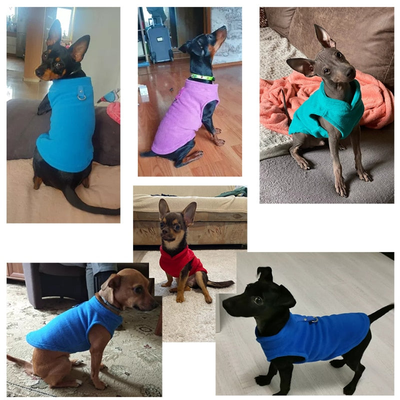 Cozy Winter Fleece Dog Jacket - Pet Clothes for Small Breeds
