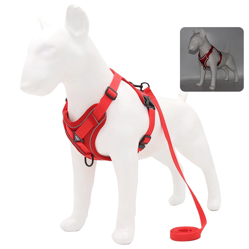 Reflective No Pull Dog Harness and Leash Set for Small to Medium Dogs - Adjustable Pet Harness Vest with Mesh Chest Strap