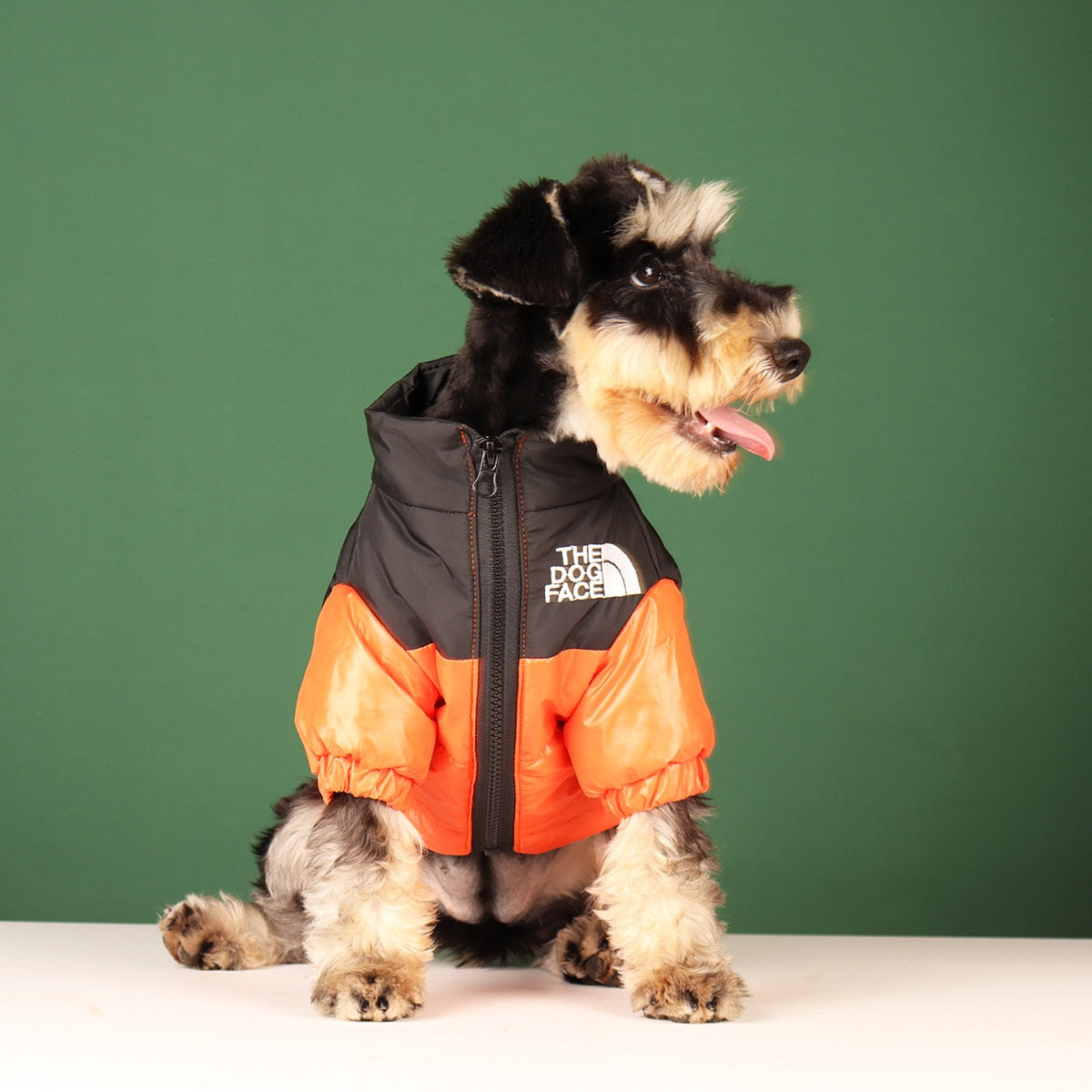 Warm and Windproof Winter Dog Jacket - Reflective, Pet Outfits for Small, Medium, and Large Breeds