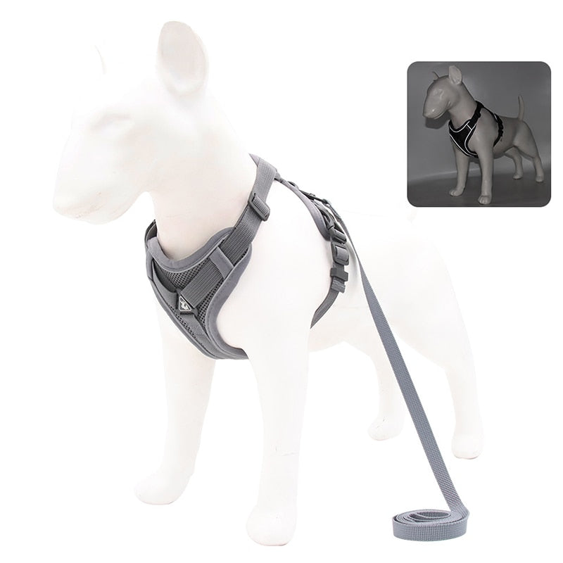 Reflective No Pull Dog Harness and Leash Set for Small to Medium Dogs - Adjustable Pet Harness Vest with Mesh Chest Strap