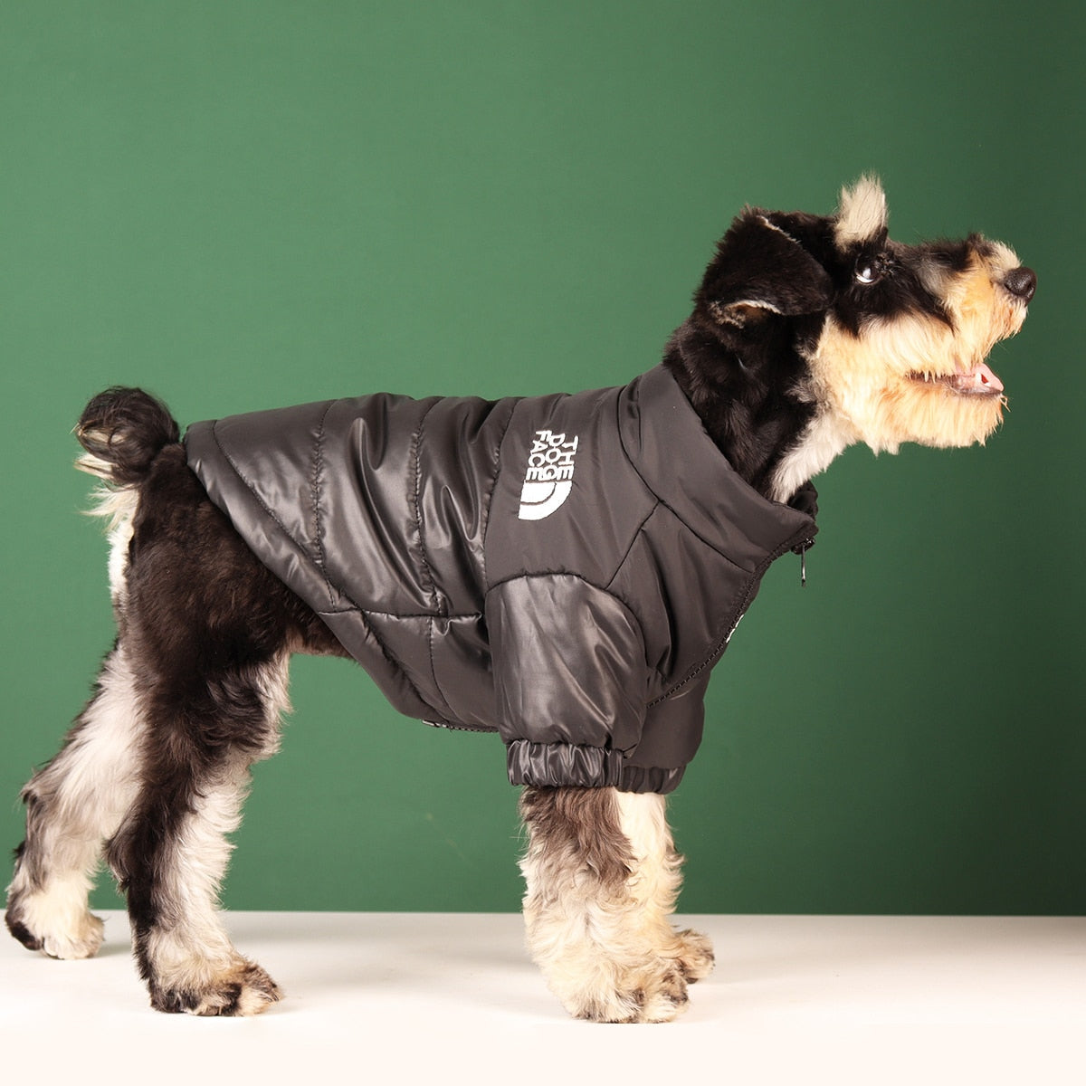 Warm and Windproof Winter Dog Jacket - Reflective, Pet Outfits for Small, Medium, and Large Breeds
