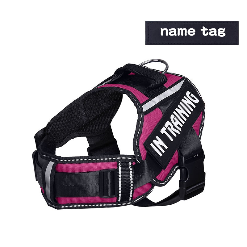 Personalized Reflective Dog Harness - Adjustable, Breathable and No-Pull Nylon Vest with Neck Guard
