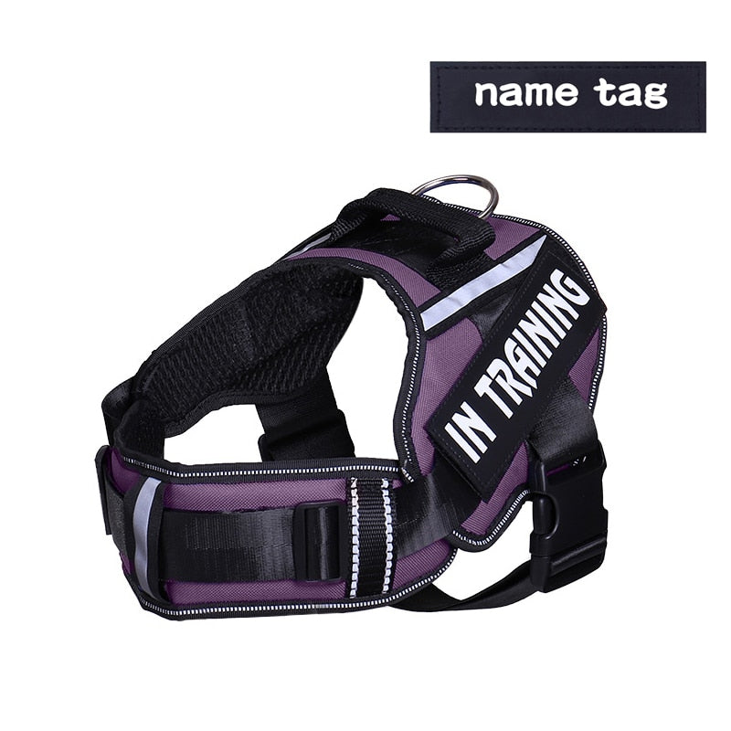 Personalized Reflective Dog Harness - Adjustable, Breathable and No-Pull Nylon Vest with Neck Guard