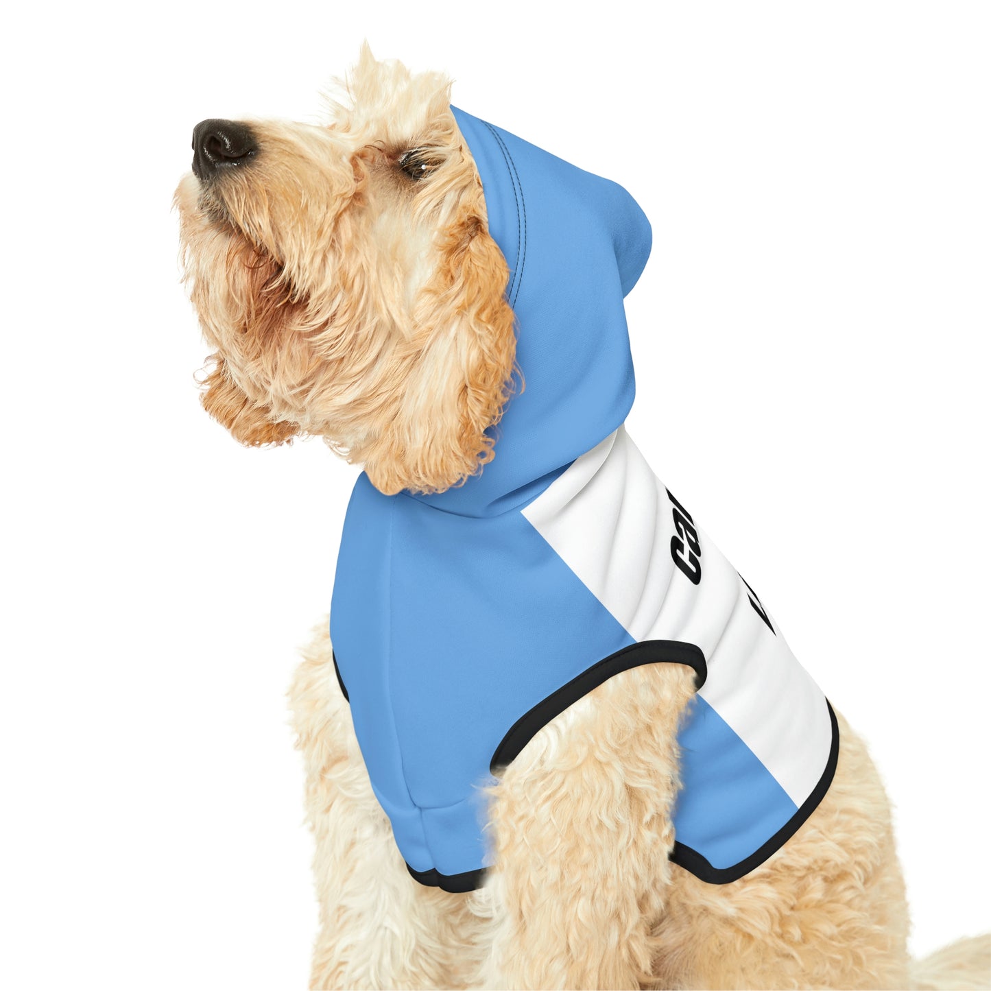 "Can't Hold My Licker" Dog Hoodie