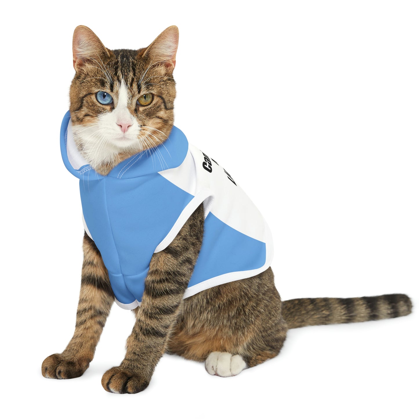"Can't Hold My Licker" Dog Hoodie