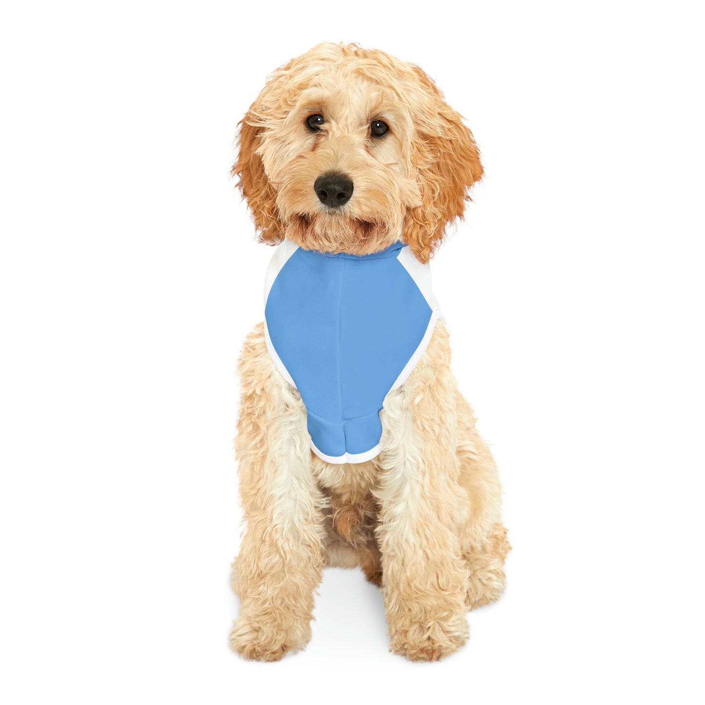 "Can't Hold My Licker" Dog Hoodie