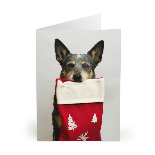 Christmas Dog Greeting Cards (5 Pack)