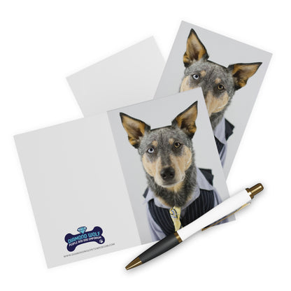 V.I.P. (Very Important Pup) Greeting Cards (5 Pack)