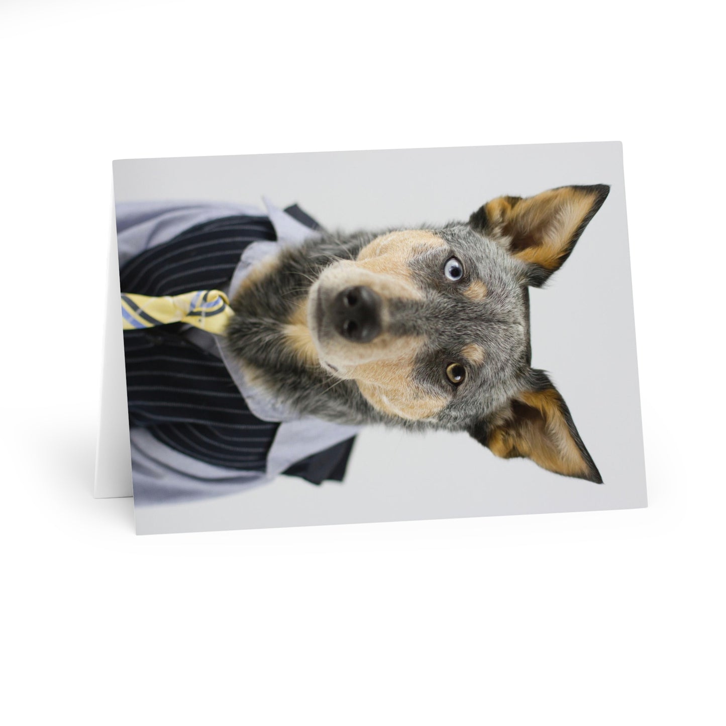 V.I.P. (Very Important Pup) Greeting Cards (5 Pack)