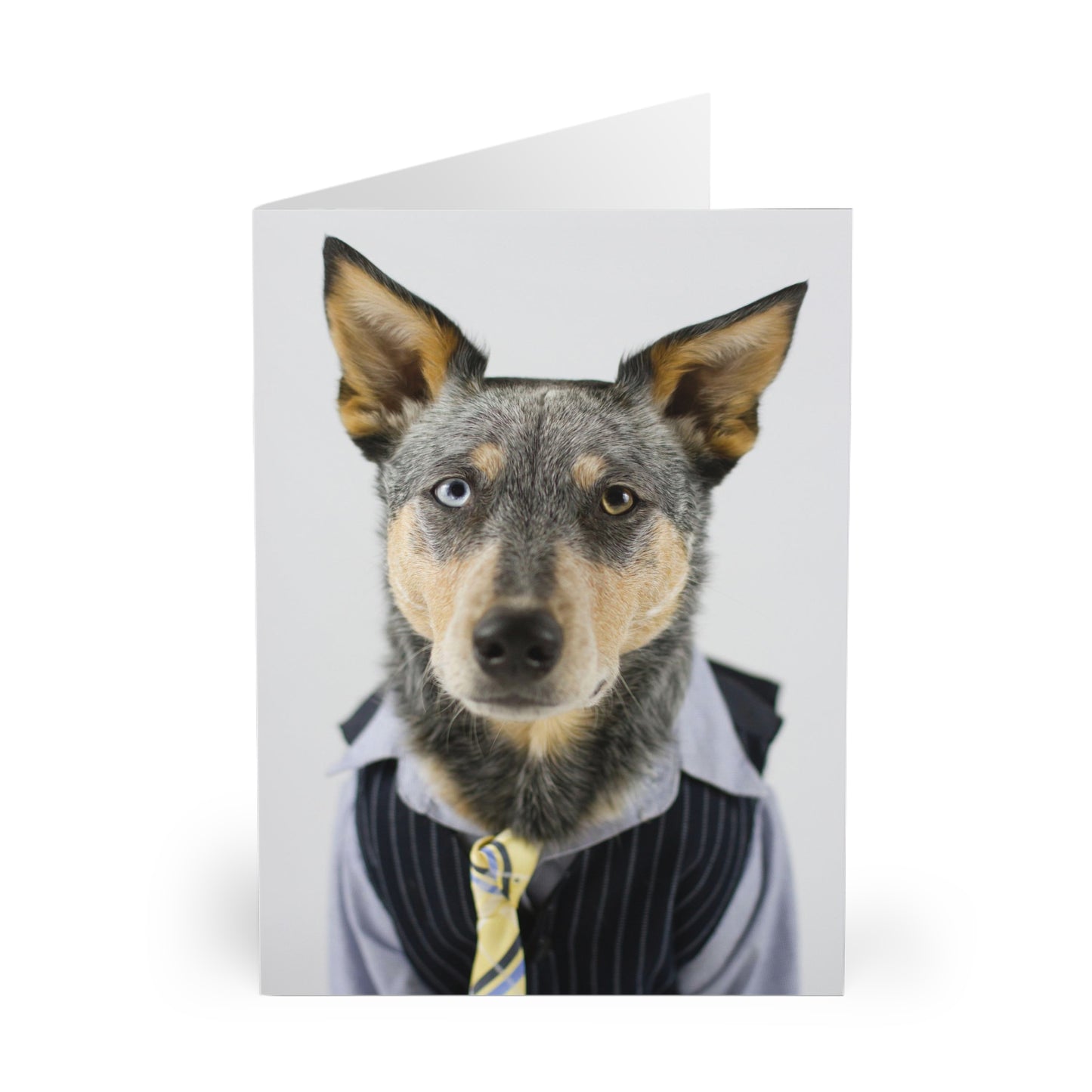 V.I.P. (Very Important Pup) Greeting Cards (5 Pack)