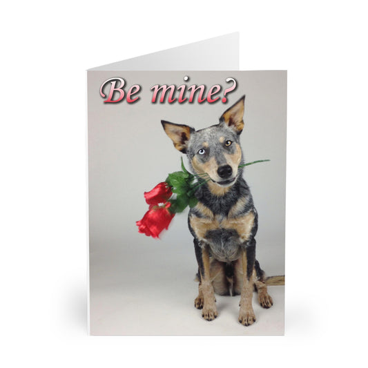 Valentine's Day "Be Mine?" Dog Greeting Cards (5 Pack)