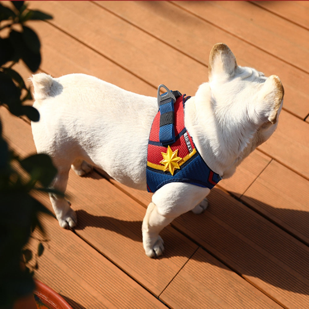 Superhero Dog Harness Pet Adjustable Vest Walking Lead Leash for Harness - Spider Man, Black Panther, Iron Man, Captain America, Captain Marvel