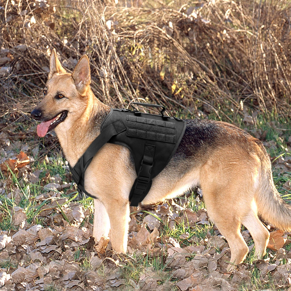 Tactical Dog Harness - Military-Style Training Vest with Molle for Medium to Large Dogs