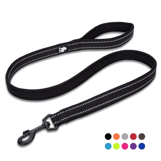 Truelove Reflective 3FT Dog Leash - Nylon Mesh Padded Leash for Outdoor Training and Safety