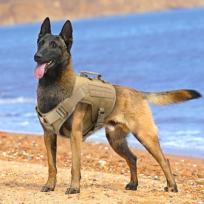 Tactical Dog Harness - Military-Style Training Vest with Molle for Medium to Large Dogs