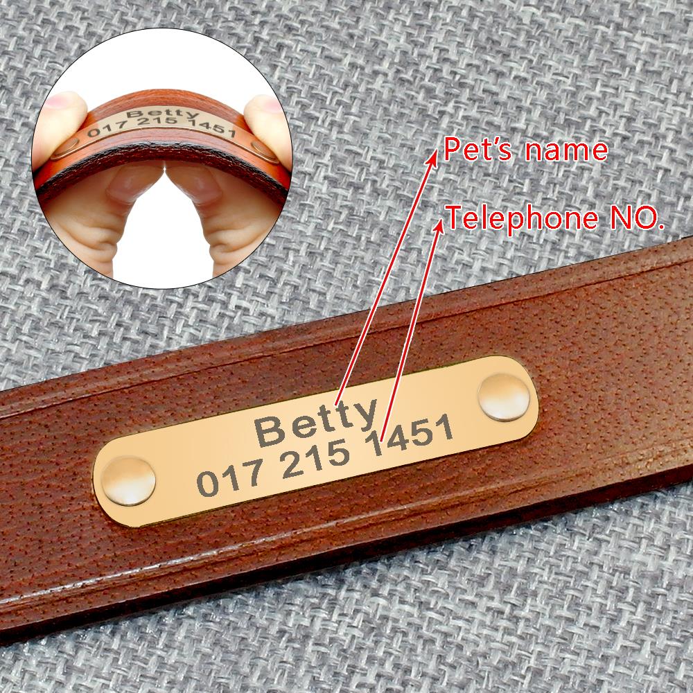 Personalized Leather Dog Collar with ID Nameplate - Custom Engraved Pet Name and Phone Number - Suitable for Small to Medium Dogs