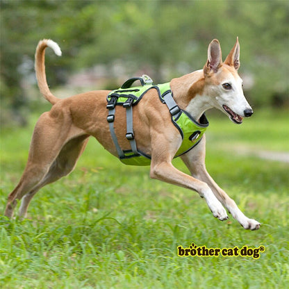 Adjustable Reflective Dog Harness for Medium and Large Breeds - Durable Outdoor Pet Supplies and Accessories